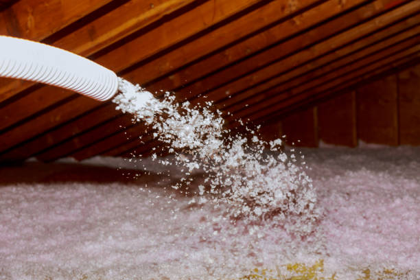 Best Spray Foam Insulation  in Oak Grove, MS